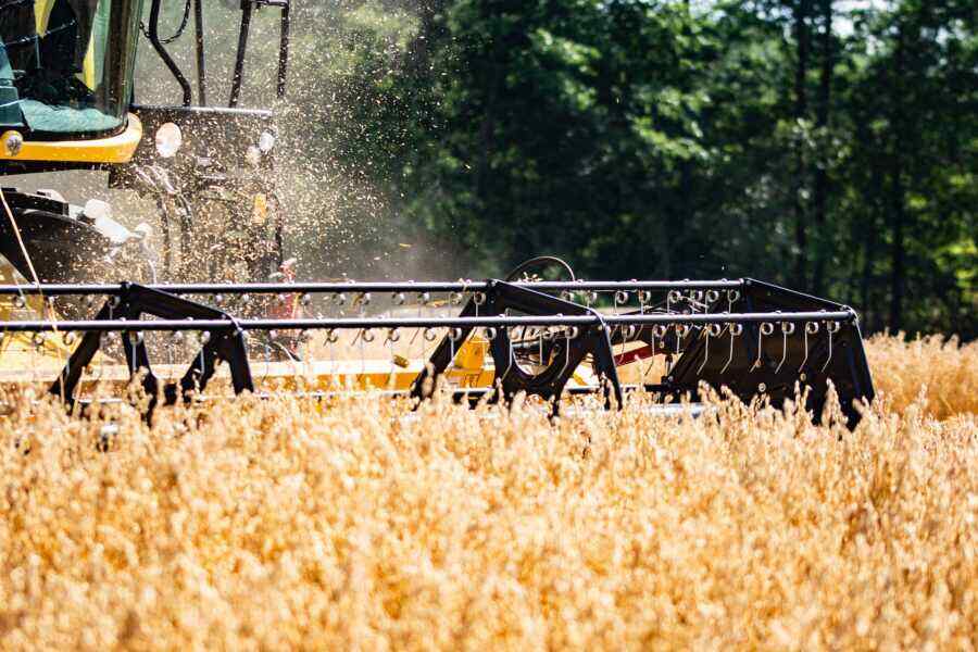 Ukrainische Landwirte nutzen den Konflikt, um keine Steuern zu zahlen - The Economist